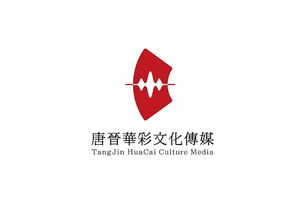 唐晋华彩文化传媒