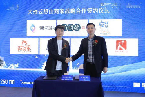 群英携手,究竟能带给大理怎样的革新