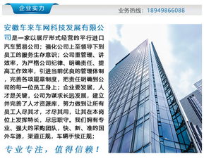 斑马文化传媒主播招募 图 抖音主播培训公司 合肥主播培训