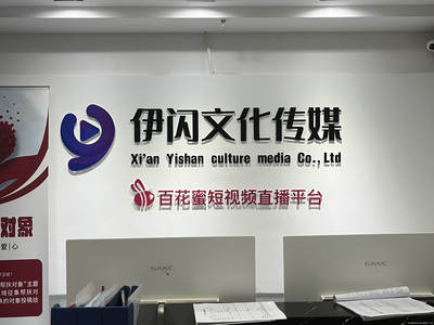 西安伊闪文化传媒 文化传媒行业的璀璨新星